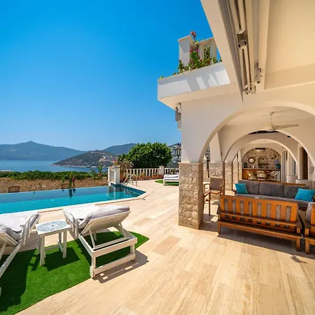 Scenic Hillside With Pool Terrace
