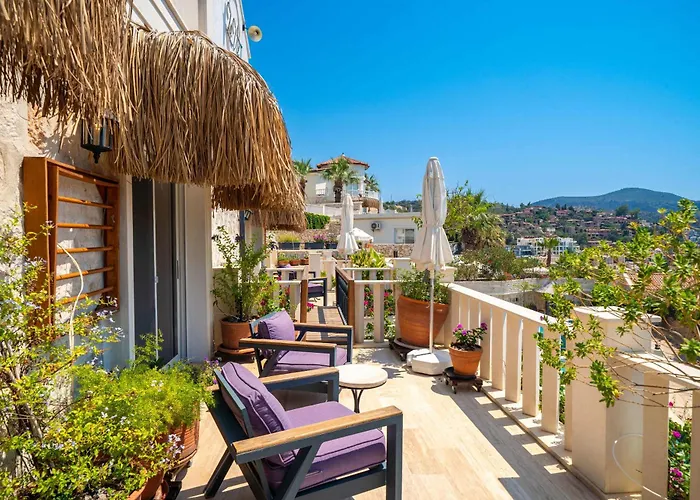 Scenic Hillside With Pool Terrace *